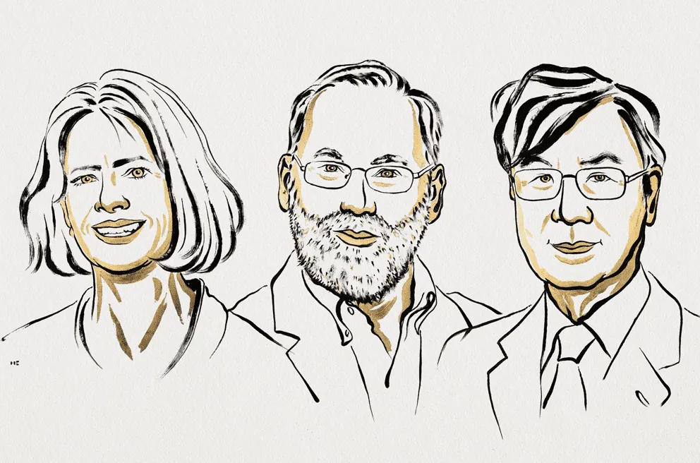 From the periphery to the spotlight – a story of immune tolerance